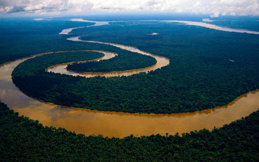El verdadero desafío es recuperar el Amazonas, no sólo apagar el ...
