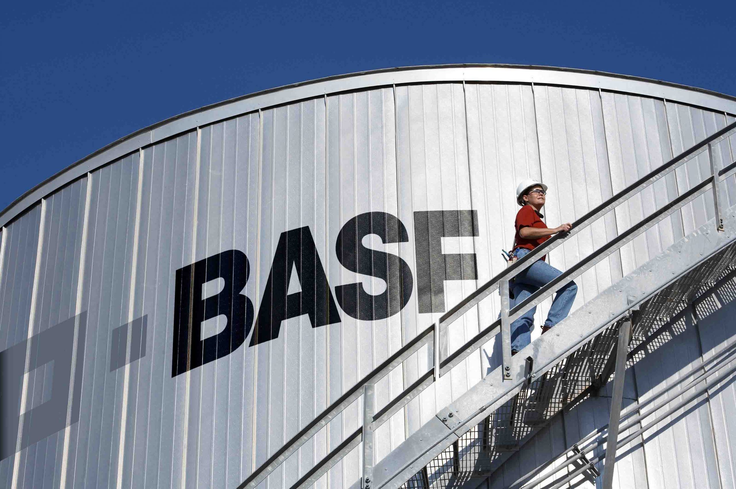 BASF publica una guía sobre la diversidad e inclusión para América del Sur PRESENTE RSE